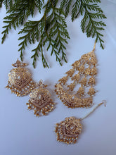 Load image into Gallery viewer, Pakistani Jardau Set
