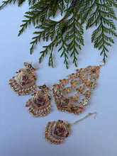 Load image into Gallery viewer, Pakistani Jardau Set
