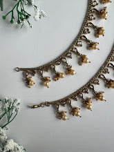 Load image into Gallery viewer, Golden Pearl Sahare
