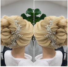 Load image into Gallery viewer, Silver hair accessory
