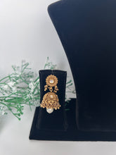 Load image into Gallery viewer, Mansi Antique Set
