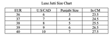 Load image into Gallery viewer, Zari Punjabi Jutti

